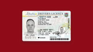 Driver's Licence Alberta